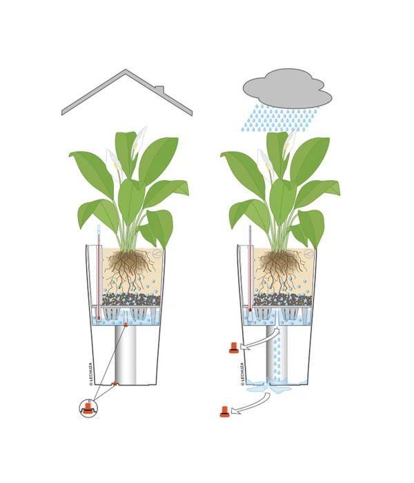 LECHUZA® CLASSICO Color, All-in-One-Set 8 LECHUZA® CLASSICO Color, All-in-One-Set – Bild 6