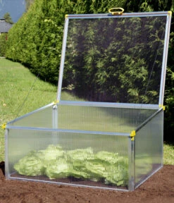 Juwel Frühbeet Biostar Protect 1000, Ca. B100/H52/T76 Cm 11 Juwel Frühbeet Biostar Protect 1000, Ca. B100/H52/T76 Cm -Eleganter Garten 1028737 WE MO 002 FruehbeetBiostarProtect1000NEU