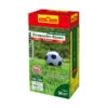Wolf-Garten Wolf Saatgut Strapazier-Rasen -Eleganter Garten 111138 WE FS 001 WolfStrapazierRasenSaatgut50mFreizeitrasen