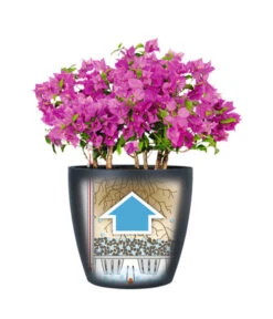 LECHUZA® CLASSICO Color, All-in-One-Set 16 LECHUZA® CLASSICO Color, All-in-One-Set -Eleganter Garten 1495332 WE IG 001 LechuzaClassicoColor Infografik