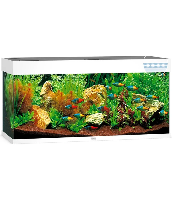 JUWEL® AQUARIUM Rio 180 LED 3 JUWEL® AQUARIUM Rio 180 LED