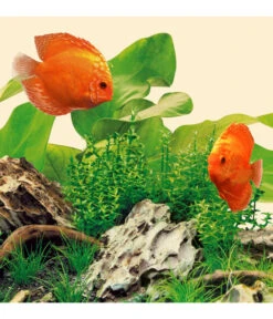 JUWEL® AQUARIUM Aquariumbeleuchtung Leuchte LED Nature -Eleganter Garten 1533215 WE M 001 JuwelNatureLED