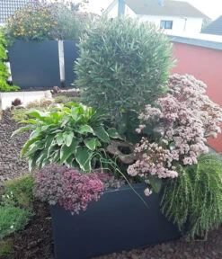 Palatino Metall-Pflanzgefäß Lotte -Eleganter Garten 2015295 WE MO 001 PalatinoPflanzkastenLotte80Anthrazit