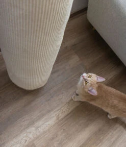 KERBL Pet Klettersack Climber Mini, Ca. Ø25/H100 Cm 12 KERBL Pet Klettersack Climber Mini, Ca. Ø25/H100 Cm -Eleganter Garten 2028652 WE MO 003 KerblZbhKletterackClimber