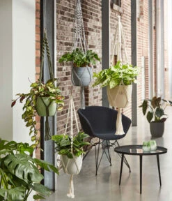 Dehner Makramee-Ampel -Eleganter Garten 2061968 4409132 WE MO 001 AmpelMakramee