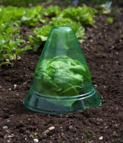 Windhager Pflanzenhut, Ø24 Cm, 10 Stk. 12 Windhager Pflanzenhut, Ø24 Cm, 10 Stk. -Eleganter Garten 2062289 WE MO 002 WindhagerPflanzenhut