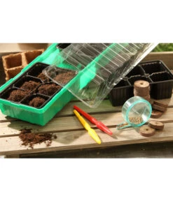 Dehner Zimmergewächshaus Frans, 54 X 15 X 12 Cm 9 Dehner Zimmergewächshaus Frans, 54 X 15 X 12 Cm -Eleganter Garten 207456 BildM 002 RombergZimmergewaechshausFransFensterbGewH54X15x12