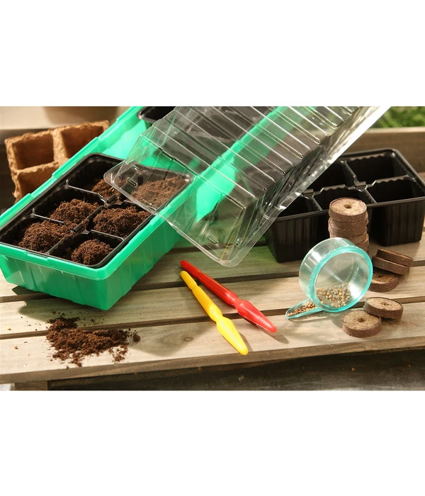 Dehner Zimmergewächshaus Frans, 54 X 15 X 12 Cm 6 Dehner Zimmergewächshaus Frans, 54 X 15 X 12 Cm – Bild 4