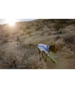 RUFFWEAR® Hunde-Kühlweste Swamp Cooler™ Vest -Eleganter Garten 2178713 WE MO 002 RWSwampCoolerVestHeliotropePurpleAlleGroessen