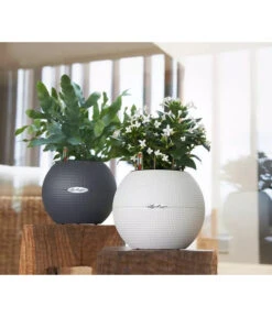 LECHUZA® PURO Color, All-in-One-Set, Rund, Ca. Ø20 Cm 16 LECHUZA® PURO Color, All-in-One-Set, Rund, Ca. Ø20 Cm -Eleganter Garten 2418598 WE MO 003 LechuzaPuroColor20schiefergrau