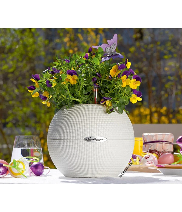 LECHUZA® PURO Color, All-in-One-Set, Rund, Ca. Ø20 Cm 7 LECHUZA® PURO Color, All-in-One-Set, Rund, Ca. Ø20 Cm – Bild 5