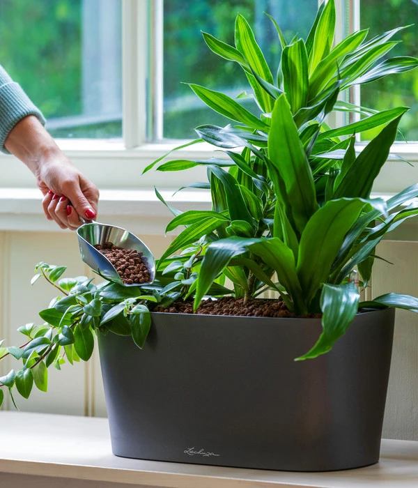 LECHUZA® Kasten DELTA, All-in-One-Set 4 LECHUZA® Kasten DELTA, All-in-One-Set – Bild 2