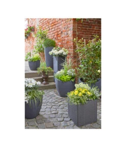Scheurich Kunststoff-Topf Wave Globe Cubo, Schwarz-granit -Eleganter Garten 2508620 WE MO 001 ScheurichKunststoffTopf50x50x40cmTopfBlumentopfPflanztopfPflanzgefaess