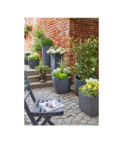 Scheurich Kunststoff-Topf Wave Globe Cubo, Schwarz-granit -Eleganter Garten 2508620 WE MO 002 ScheurichKunststoffTopf50x50x40cmTopfBlumentopfPflanztopfPflanzgefaess