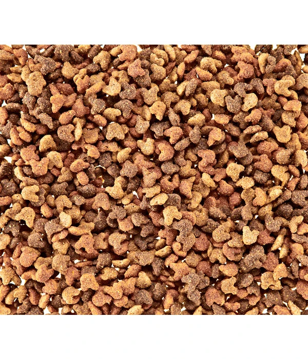 Whiskas® Katzensnack Crunch Mit Huhn, Truthahn & Ente, 5 X 100 G 4 Whiskas® Katzensnack Crunch Mit Huhn, Truthahn & Ente, 5 X 100 G – Bild 2