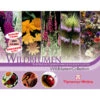 Thompson & Morgan Samen 'Wildblumen-Collection' 2 Thompson & Morgan Samen 'Wildblumen-Collection' -Eleganter Garten 2531705 WE FS 001 ThompsonMorganWildblumenCollection
