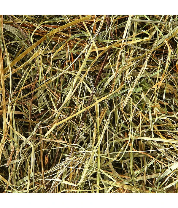 Dehner Bio Bergwiesenheu, 1,25 Kg 5 Dehner Bio Bergwiesenheu, 1,25 Kg – Bild 3