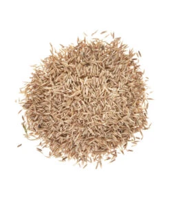 Wolf-Garten Wolf Saatgut Strapazier-Rasen -Eleganter Garten 2682250 BildD 001 WolfRasenSaatgutStrapazierrasenLorettaStrapRasenLoretta25Qm