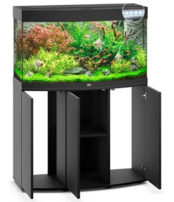 JUWEL® AQUARIUM Kombination Vision 180 LED -Eleganter Garten 2881498 WE FS 001 JuwelVision180schwarz