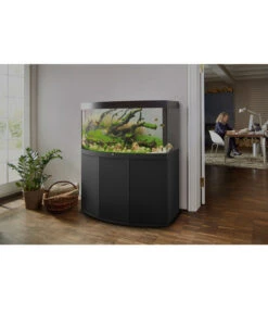 JUWEL® AQUARIUM Kombination Vision 180 LED -Eleganter Garten 2881514 WE M 001 JuwelVision180LED