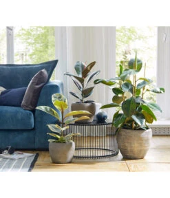 Dehner Keramik-Übertopf Kenia, Konisch, Braun -Eleganter Garten 2906469 WE MO 001 TopfKeniaBraun