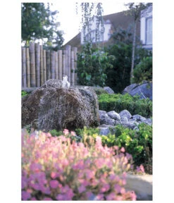 Oase Pumpe Aquarius Universal Classic 1500 -Eleganter Garten 2959476 WE MO 003 AquariusUniversalClassic