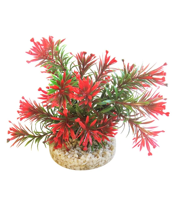 Sydeco Kit Kombi 1, Kunstpflanzen, 5 Stück 5 Sydeco Kit Kombi 1, Kunstpflanzen, 5 Stück – Bild 3