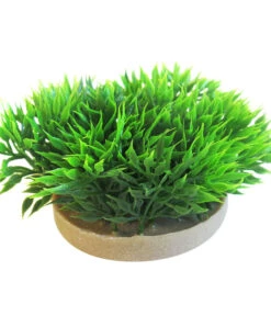 Sydeco Kit Kombi 1, Kunstpflanzen, 5 Stück 13 Sydeco Kit Kombi 1, Kunstpflanzen, 5 Stück -Eleganter Garten 2999050 WE D 004 SydecoKombi1