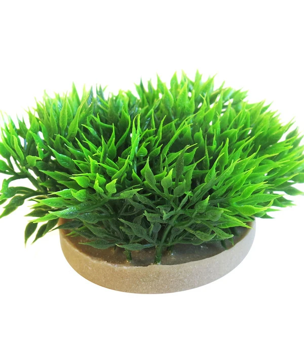 Sydeco Kit Kombi 1, Kunstpflanzen, 5 Stück 7 Sydeco Kit Kombi 1, Kunstpflanzen, 5 Stück – Bild 5