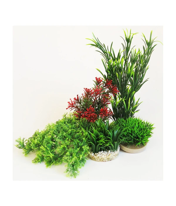 Sydeco Kit Kombi 1, Kunstpflanzen, 5 Stück 3 Sydeco Kit Kombi 1, Kunstpflanzen, 5 Stück