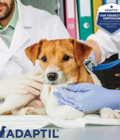 ADAPTIL® Calm Verdampfer Start-Set -Eleganter Garten 3020054 3020062 WE MO 002 AdaptilCalmVerdampferStarterSetNF