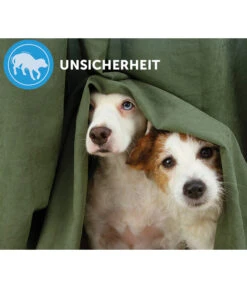 ADAPTIL® Calm Verdampfer Start-Set -Eleganter Garten 3020054 3020062 WE MO 003 AdaptilCalmVerdampferStarterSetNF