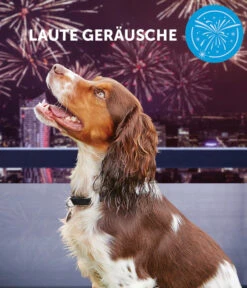 ADAPTIL® Calm Verdampfer Start-Set -Eleganter Garten 3020054 3020062 WE MO 003 CevaHZbhAdaptilCalm