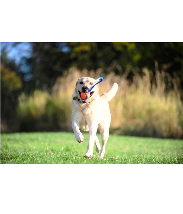 Chuckit!® Hundespielzeug Ultra Tug Mit Handschlaufe 4 Chuckit!® Hundespielzeug Ultra Tug Mit Handschlaufe – Bild 2