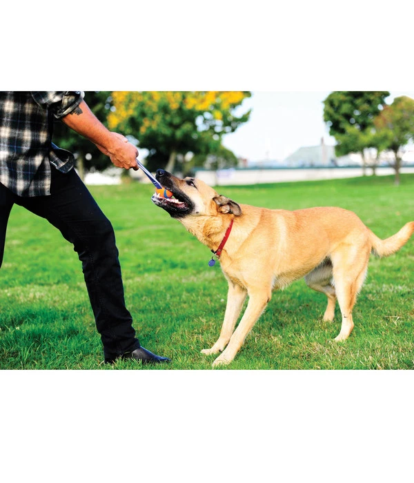 Chuckit!® Hundespielzeug Ultra Tug Mit Handschlaufe 5 Chuckit!® Hundespielzeug Ultra Tug Mit Handschlaufe – Bild 3