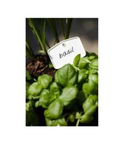 Elho Pflanz-Stift, 5 Stück -Eleganter Garten 3266806 MO FS 001 PflanzstiftMweissElhoEtikett