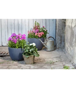 Dehner Leichtbeton-Pflanztopf Manchester, Rund, Antik-schwarz -Eleganter Garten 3337151 3337169 3337136 3337144 WE MO 003 DehnerLeichtbetonPflanztopfantikschwarz