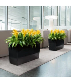 LECHUZA® CARARO, All-in-One-Set, 43 X 30 X 75 Cm -Eleganter Garten 3409273 BildM 001 CararoSchwarzLechuza