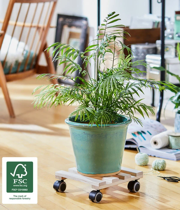 Wagner Multi Pflanzenroller, 25 X 25 Cm 4 Wagner Multi Pflanzenroller, 25 X 25 Cm – Bild 2