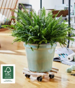 Wagner Multi-Pflanzenroller Rund, Ø 35 Cm -Eleganter Garten 3519519 WE MO 002 MULTIROLLER