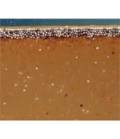 JBL Fischfutter ArtemioPur Artemia-Eier, 40 Ml 9 JBL Fischfutter ArtemioPur Artemia-Eier, 40 Ml -Eleganter Garten 3651676 WE DE 003 JBLAZbhArtemioPur