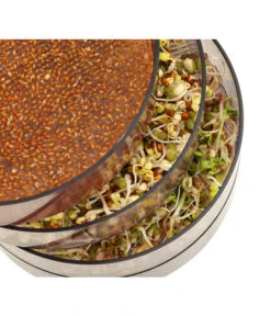 Dehner Sprossenhaus, 4 Schalen -Eleganter Garten 3677101 WE MO 002 DehnerSprossenhausKeimsprossen