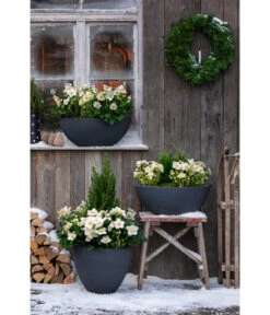 Dehner Kunststoff-Schale Miami, Rund, Anthrazit, Ca. Ø52/H20 Cm 20 Dehner Kunststoff-Schale Miami, Rund, Anthrazit, Ca. Ø52/H20 Cm -Eleganter Garten 3694254 3693926 WE MO 001 KunststoffTopfStonekonischanthrazit