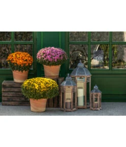 Spang Terrakotta-Topf Toscana, Rund 11 Spang Terrakotta-Topf Toscana, Rund -Eleganter Garten 3697612 WE MO 003 TerrakottaTopfToscana