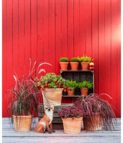 Spang Terrakotta-Topf Toscana, Rund 12 Spang Terrakotta-Topf Toscana, Rund -Eleganter Garten 3697612 WE MO 004 TerrakottaTopfToscanarund