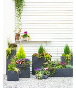 Dehner Kunststoff-Blumenkübel Palermo, Anthrazit 21 Dehner Kunststoff-Blumenkübel Palermo, Anthrazit -Eleganter Garten 3728110 3940764 3693611 WE MO 001 KunststoffPflanzkastenKubus