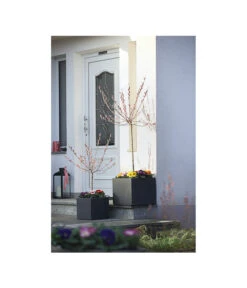 Dehner Kunststoff-Blumenkübel Palermo, Anthrazit 18 Dehner Kunststoff-Blumenkübel Palermo, Anthrazit -Eleganter Garten 3728110 WE MO 001 KunststoffTopfKubusAnthrazitBlumenkuebelBlumentopfKubus