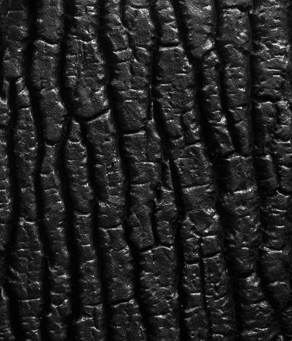 JUWEL® AQUARIUM Rückwand STR 4 JUWEL® AQUARIUM Rückwand STR – Bild 2