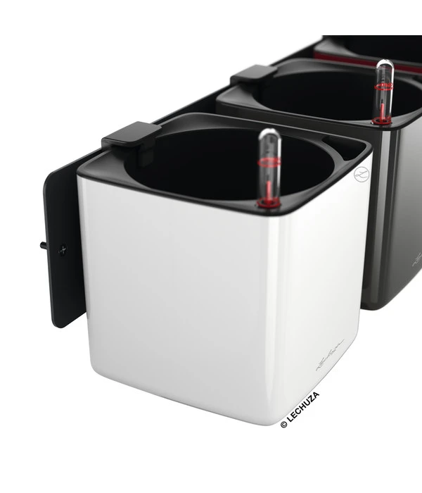 LECHUZA® CUBE Glossy Green Wall Home Kit, Ca. B48/H14/T15 Cm 6 LECHUZA® CUBE Glossy Green Wall Home Kit, Ca. B48/H14/T15 Cm – Bild 4