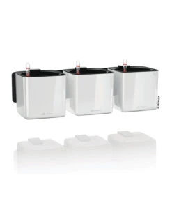 LECHUZA® CUBE Glossy Green Wall Home Kit, Ca. B48/H14/T15 Cm